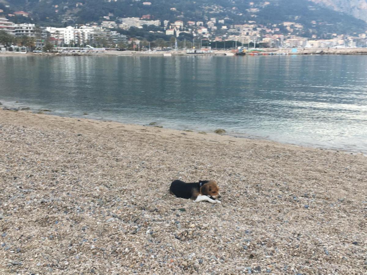 Appartement Maroelvi Menton Buitenkant foto